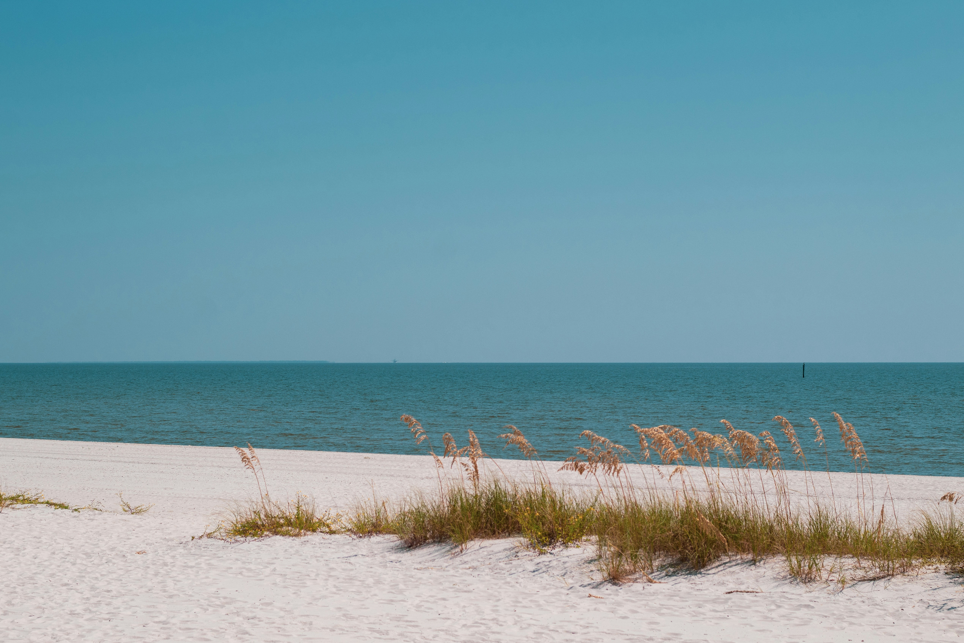 Sea oats and white sand along a quiet Mississippi Gulf Coast beach